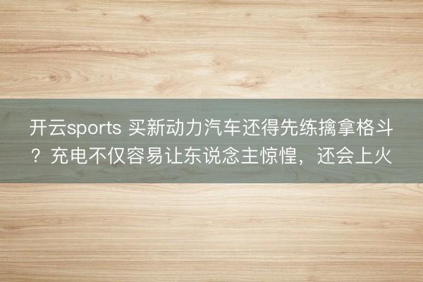 开云sports 买新动力汽车还得先练擒拿格斗？充电不仅容易让东说念主惊惶，还会上火